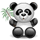 panda oso